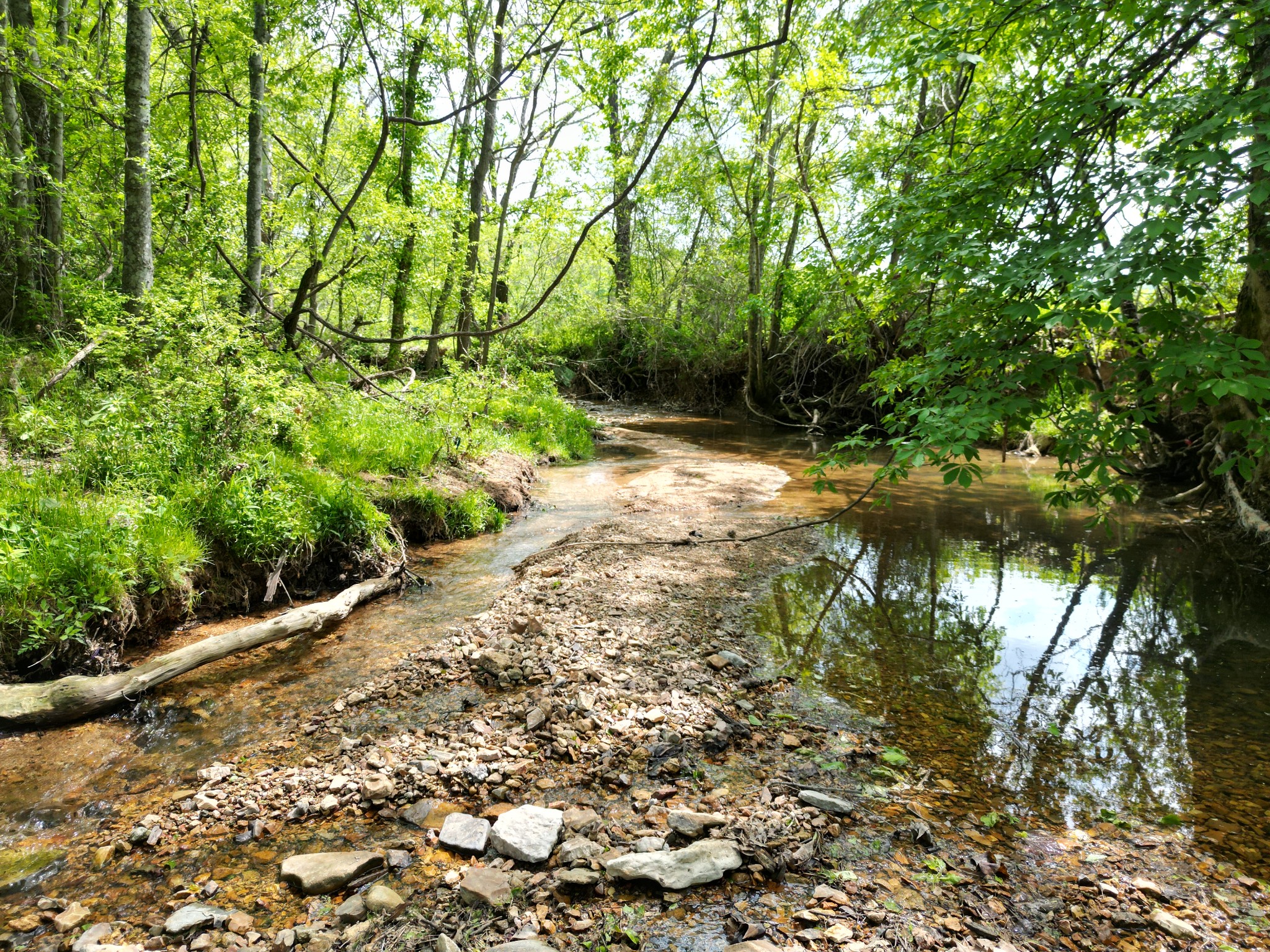 198 Treece Lane Waynesboro, TN 38485 - Photo 2 of 69 a pathway of a yard