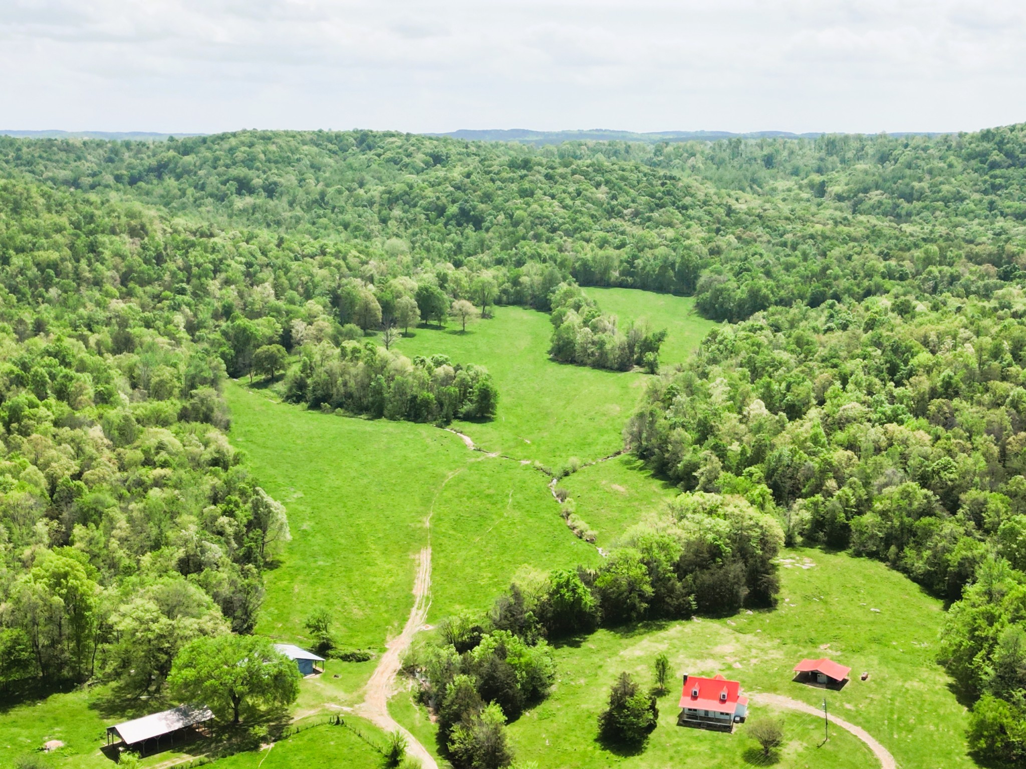 198 Treece Lane Waynesboro, TN 38485 - Photo 27 of 69 a view of a garden