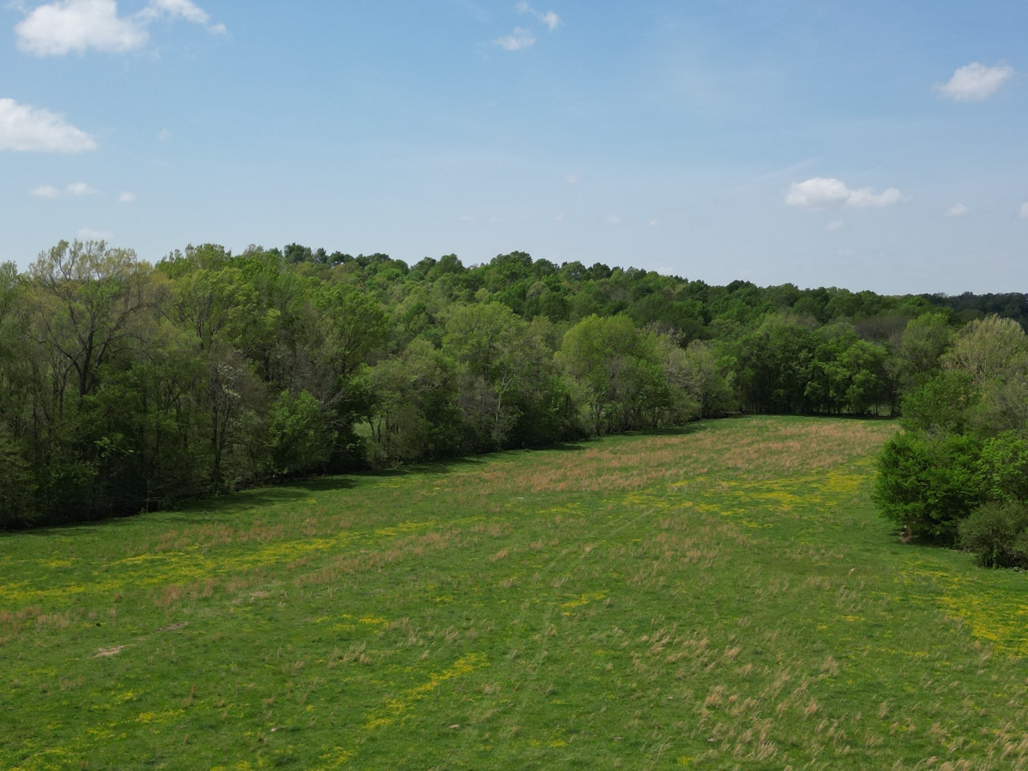 198 Treece Lane Waynesboro, TN 38485 - Photo 29 of 69 a view of a big yard with green space