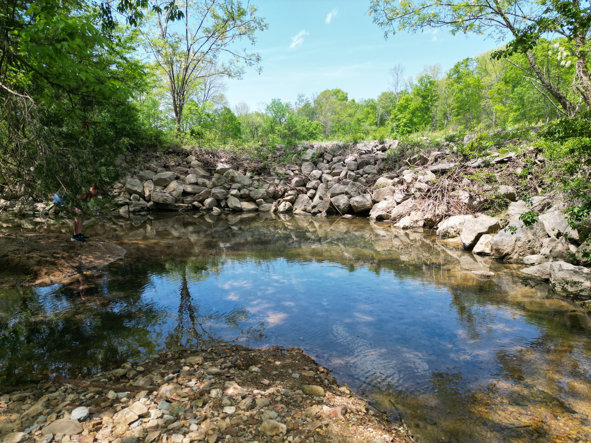 198 Treece Lane Waynesboro, TN 38485 - Photo 31 of 69 a view of a lake view