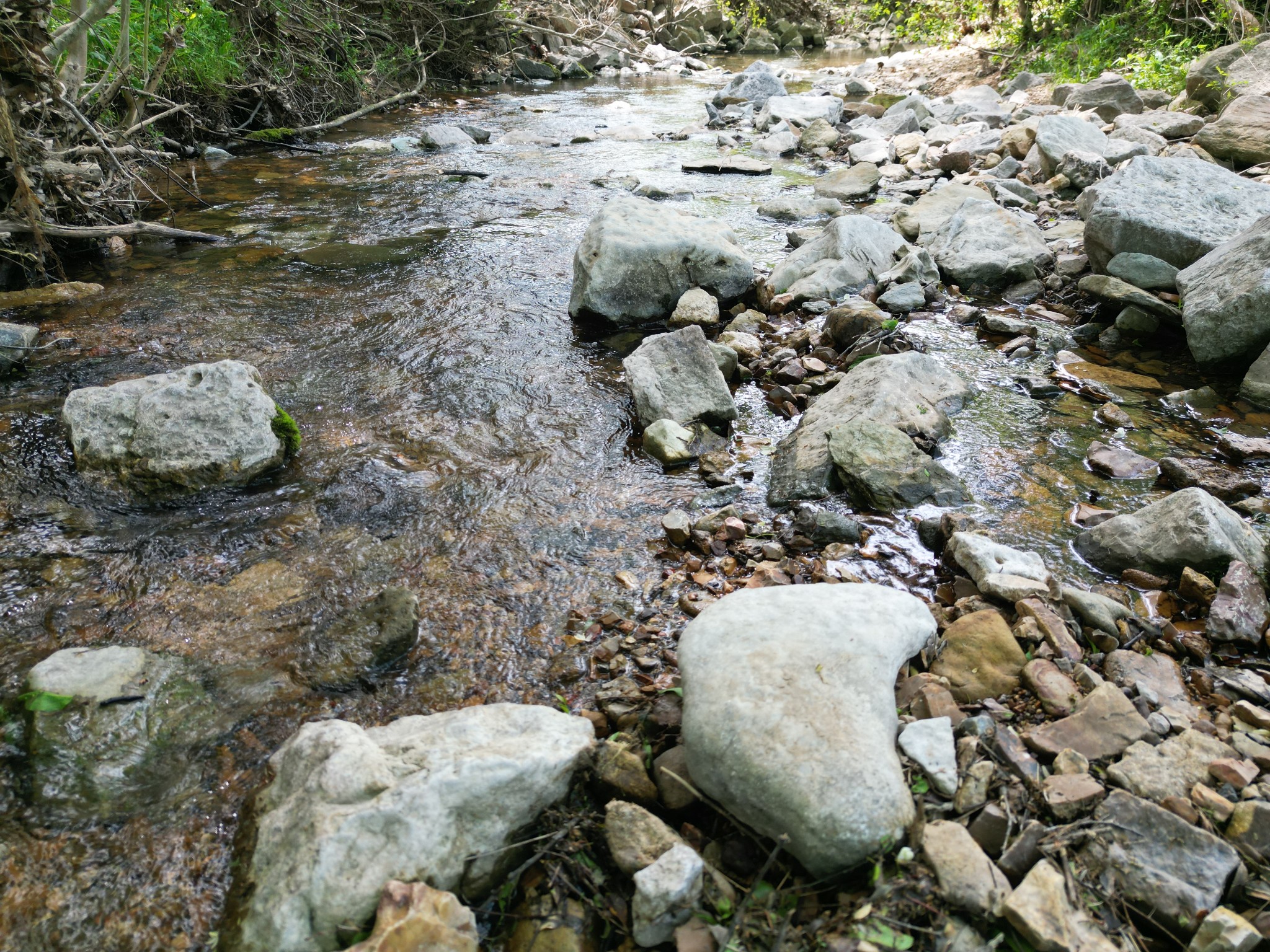 198 Treece Lane Waynesboro, TN 38485 - Photo 42 of 69 a view of a backyard of a house
