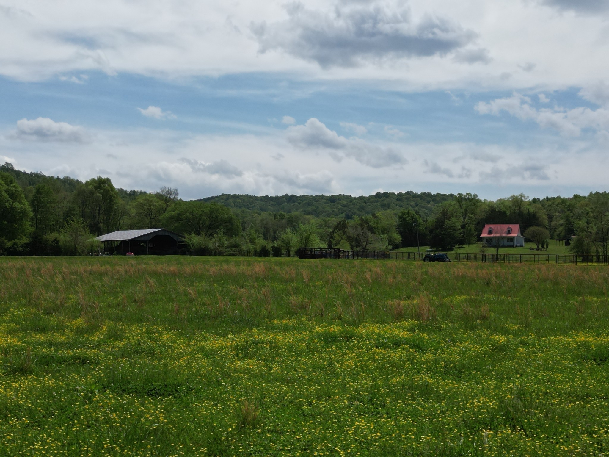 198 Treece Lane Waynesboro, TN 38485 - Photo 43 of 69 a view of an outdoor space and a yard