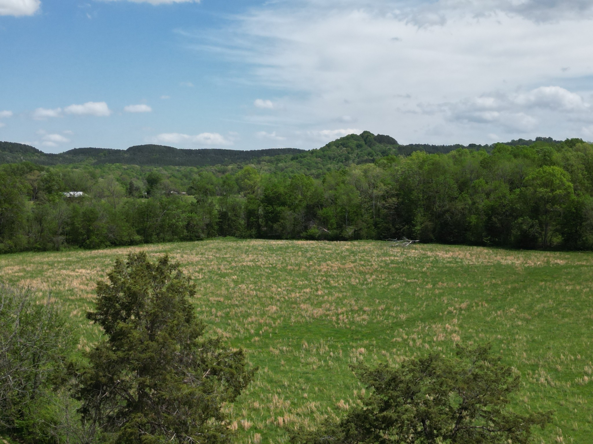 198 Treece Lane Waynesboro, TN 38485 - Photo 45 of 69 a view of a outdoor space with mountain view