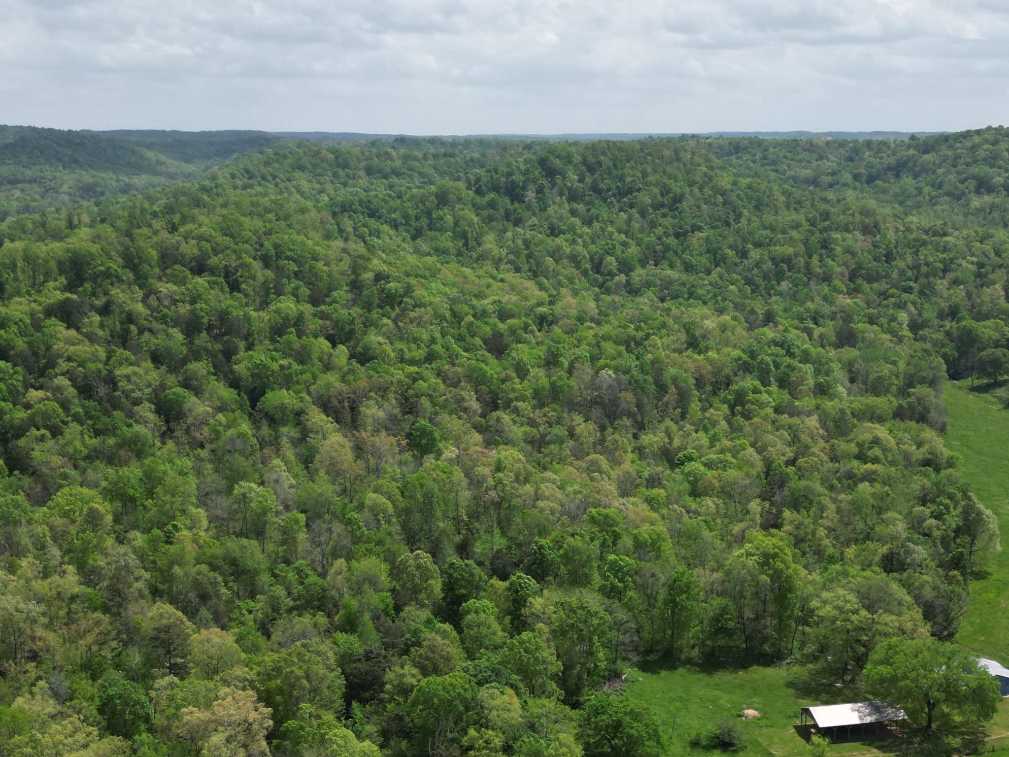 198 Treece Lane Waynesboro, TN 38485 - Photo 48 of 69