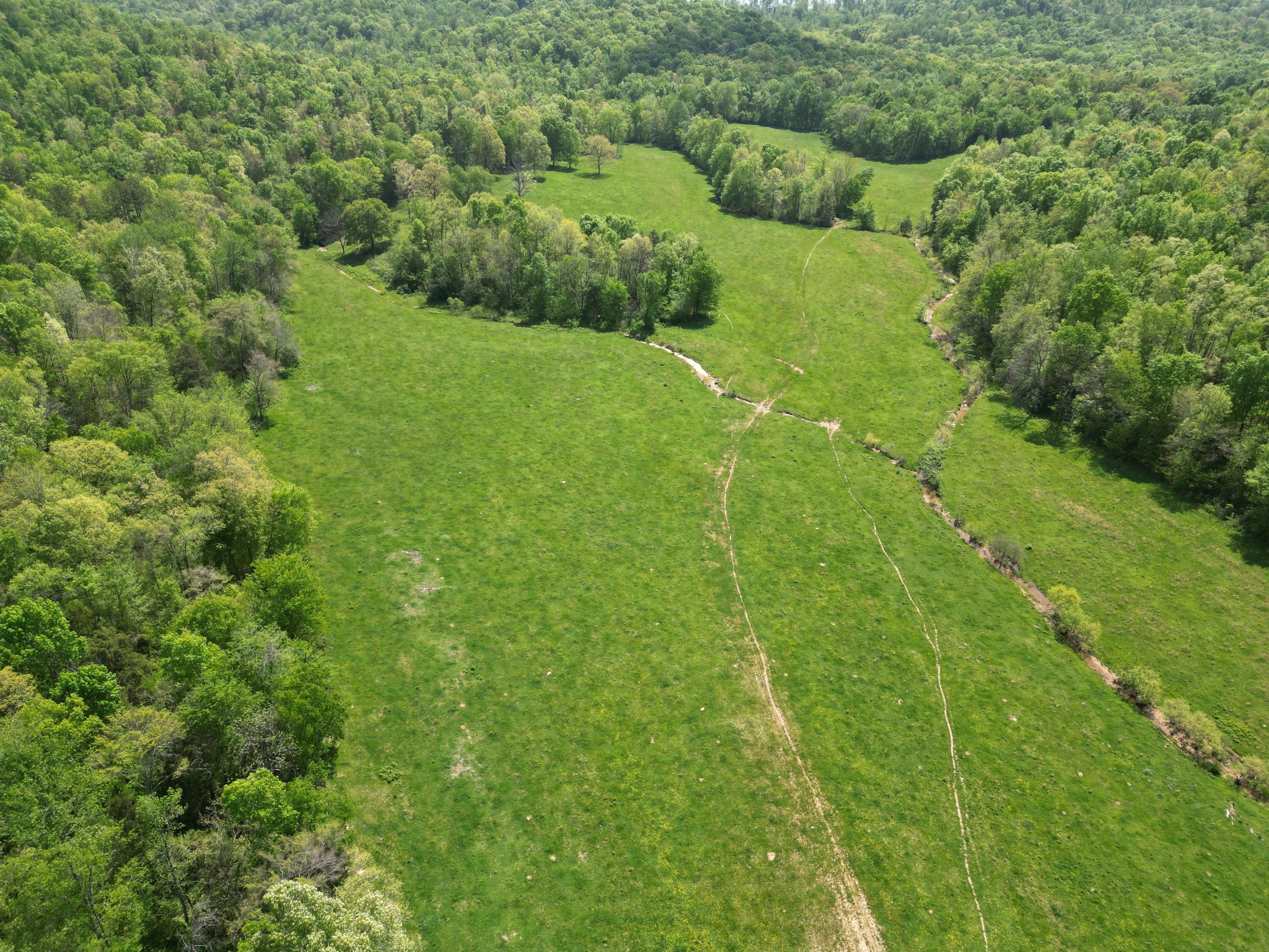 198 Treece Lane Waynesboro, TN 38485 - Photo 56 of 69 a view of a green yard