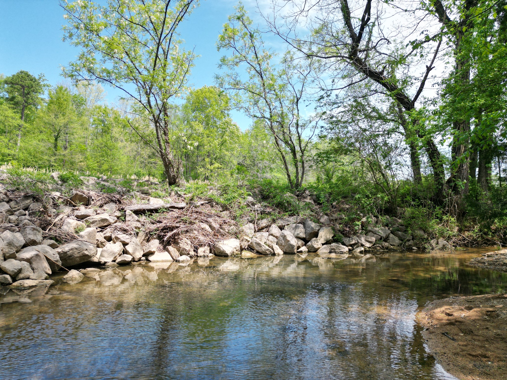 198 Treece Lane Waynesboro, TN 38485 - Photo 58 of 69