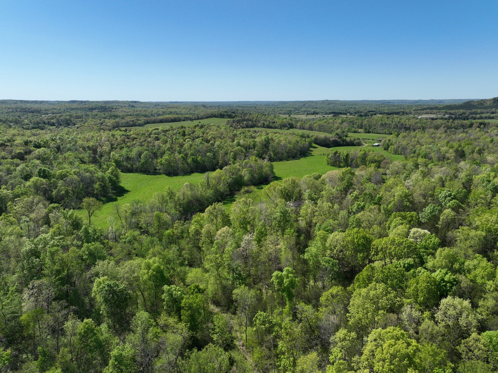 198 Treece Lane Waynesboro, TN 38485 - Photo 61 of 69 an aerial view of a houses with a yard