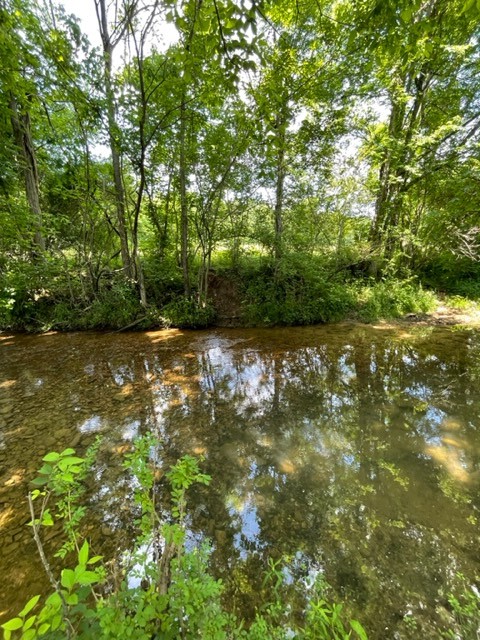 198 Treece Lane Waynesboro, TN 38485 - Photo 66 of 69 a backyard of a house with lots of green space