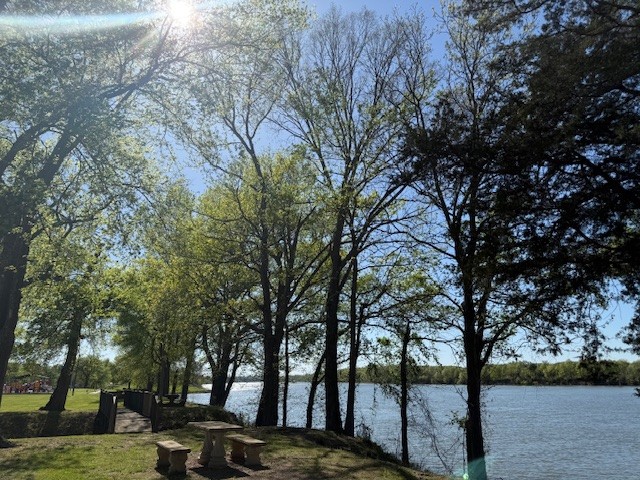 198 Treece Lane Waynesboro, TN 38485 - Photo 67 of 69 a view of outdoor space with yard