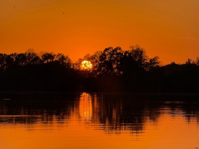 198 Treece Lane Waynesboro, TN 38485 - Photo 69 of 69 a view of a swimming pool with an outdoor space and seating area