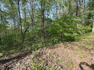 0 Garton Road Burns, TN 37029 - Photo 5 of 20 Gallery Image 5