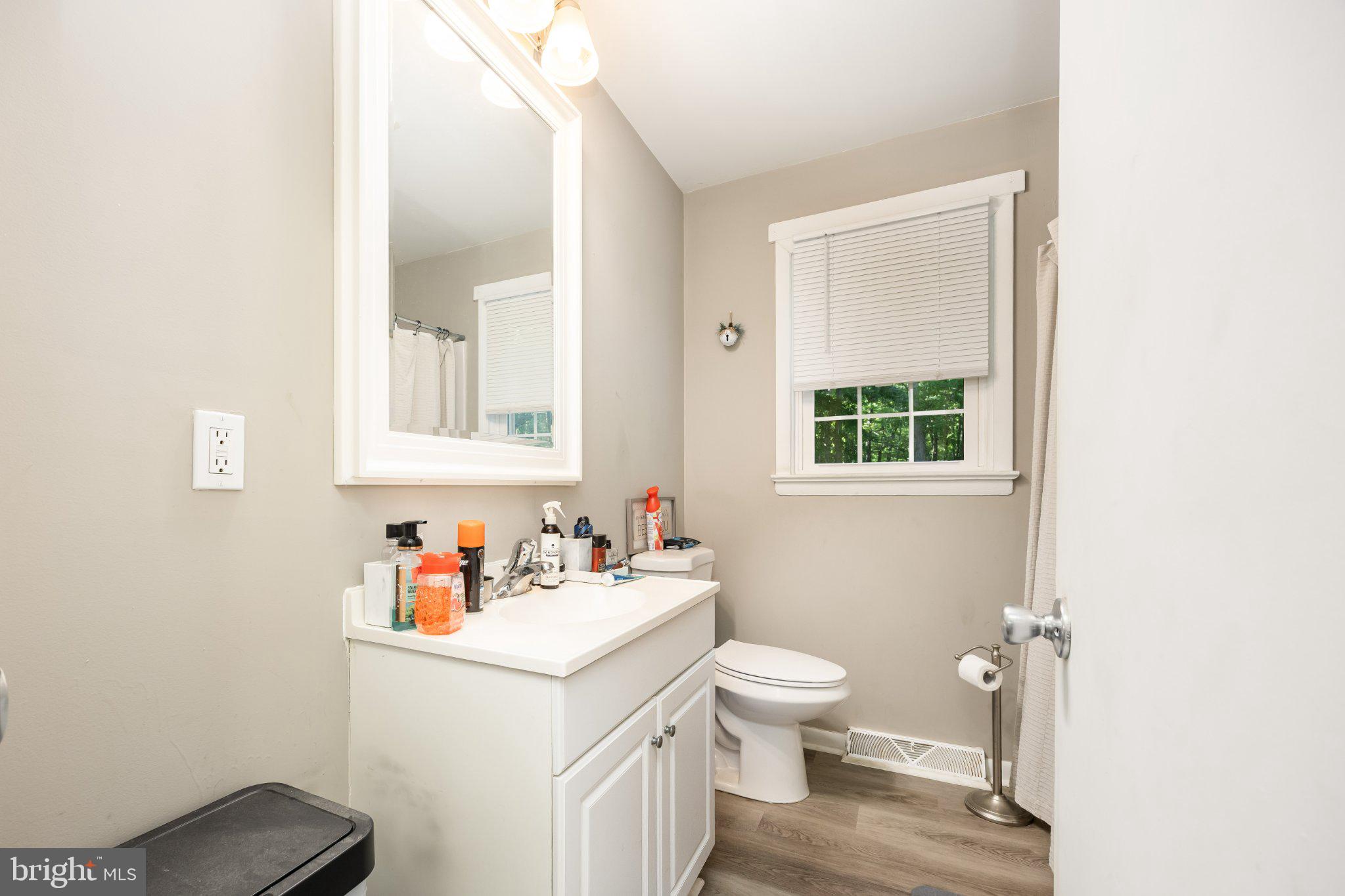 31161 Eden Allen Road Eden, MD 21822 - Photo 13 of 28 Bright and airy bathroom retreat.