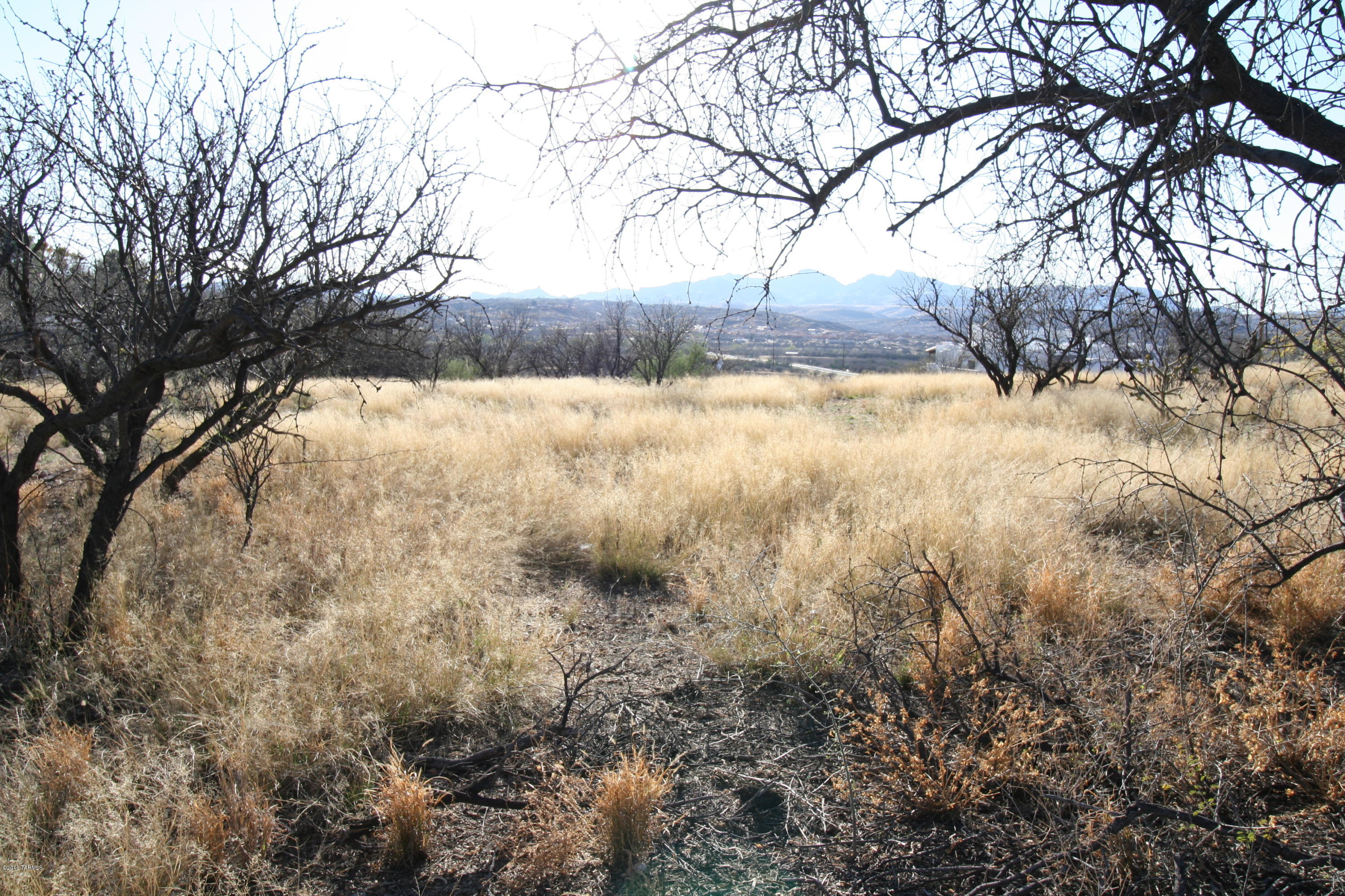 418 Willow Drive Rio Rico, AZ 85648 - Photo 7 of 9