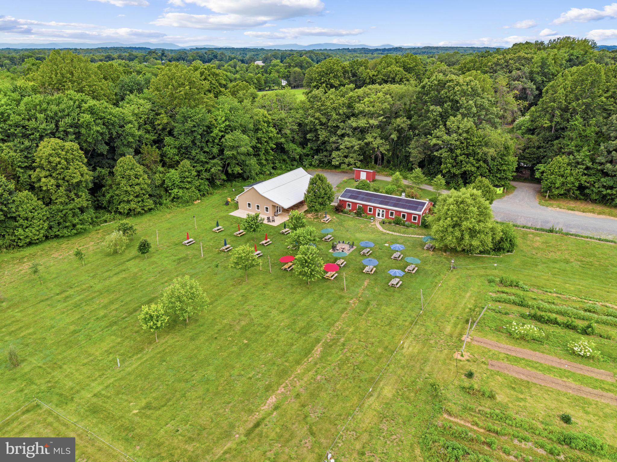 9269 Redemption Way Midland, VA 22728 - Photo 4 of 24