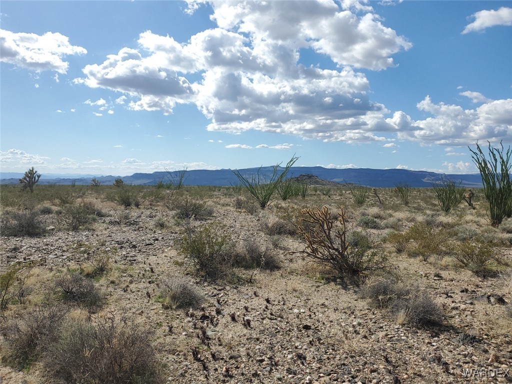 Lot 2 South Rosewell Road Yucca, AZ 86438 - Photo 1 of 13 View