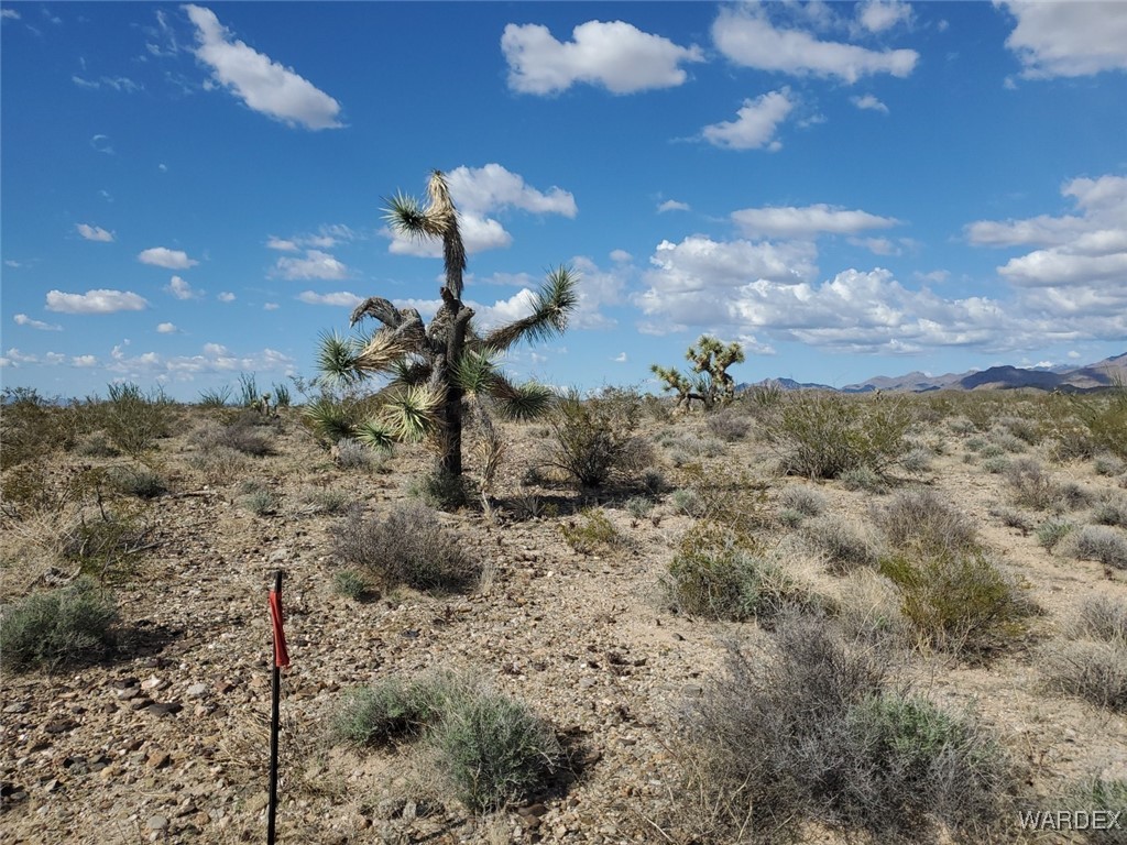 Lot 2 South Rosewell Road Yucca, AZ 86438 - Photo 11 of 13 Other