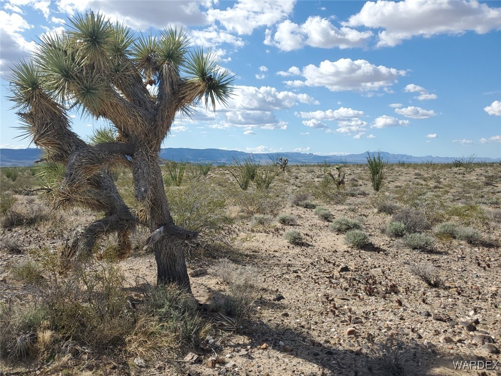 Lot 2 South Rosewell Road Yucca, AZ 86438 - Photo 12 of 13 View