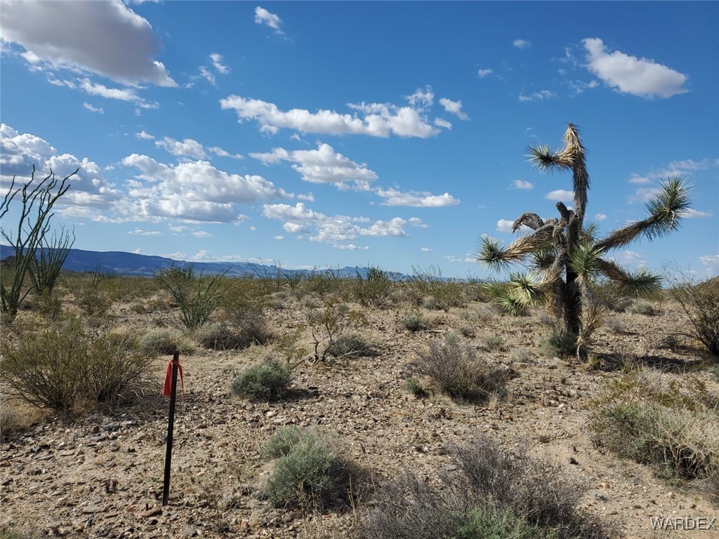 Lot 2 South Rosewell Road Yucca, AZ 86438 - Photo 13 of 13 View
