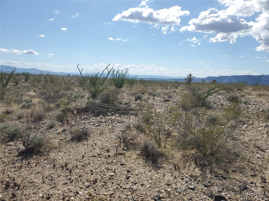 Lot 2 South Rosewell Road Yucca, AZ 86438 - Photo 5 of 13 View