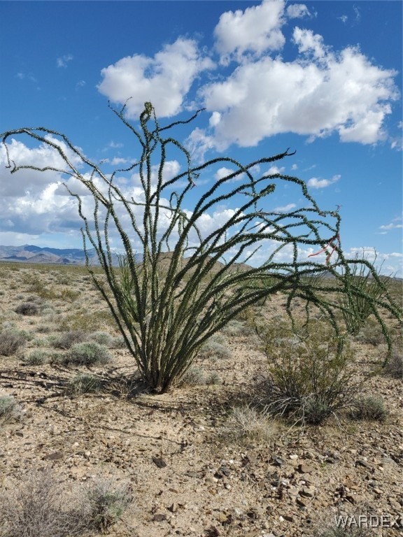 Lot 2 South Rosewell Road Yucca, AZ 86438 - Photo 6 of 13 Other