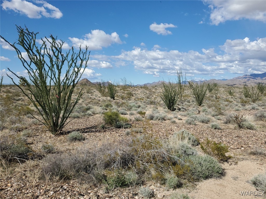 Lot 2 South Rosewell Road Yucca, AZ 86438 - Photo 8 of 13 Other