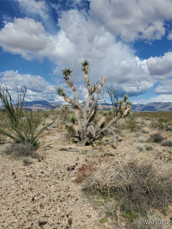 Lot 2 South Rosewell Road Yucca, AZ 86438 - Photo 9 of 13 View