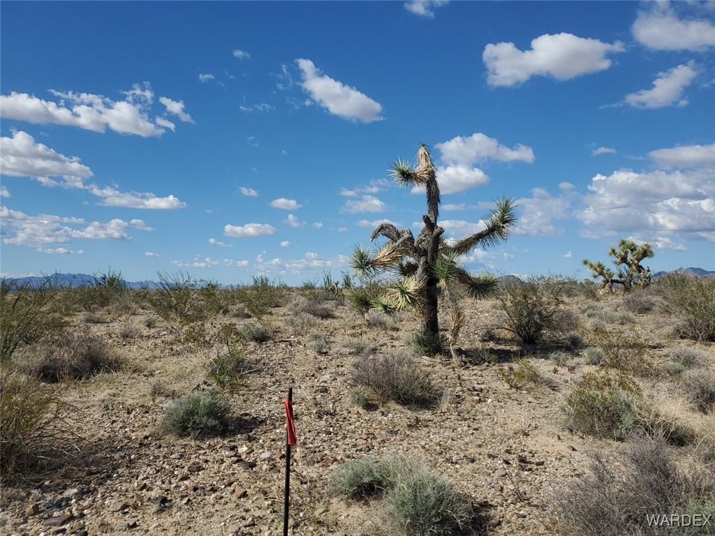 Lot 2 South Rosewell Road Yucca, AZ 86438 - Photo 10 of 13 Other
