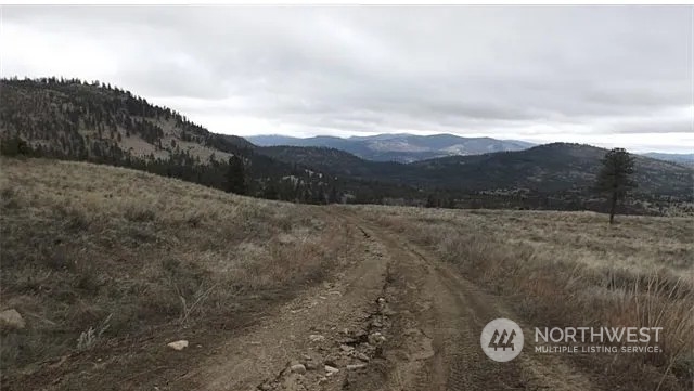 421-tbd Bandtman Road Tonasket, WA 98855 - Photo 2 of 5 a view of a dry yard with mountain