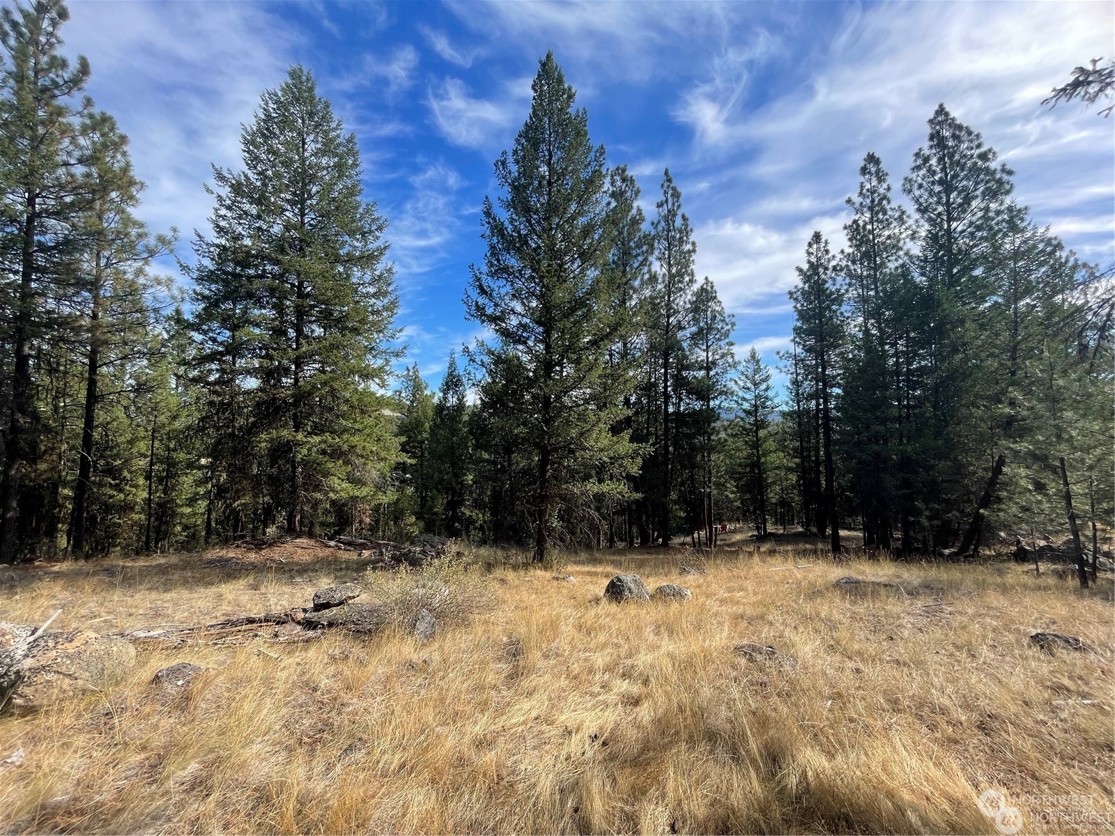 421-tbd Bandtman Road Tonasket, WA 98855 - Photo 4 of 5 a view of covered with snow