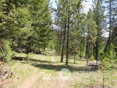 421-tbd Bandtman Road Tonasket, WA 98855 - Photo 5 of 5 a view of a yard with a tree