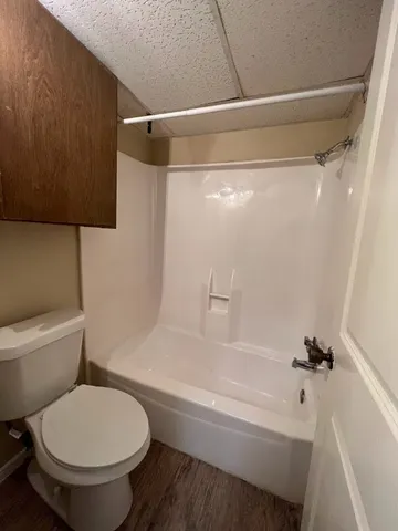 a bathroom with a toilet and a bathtub