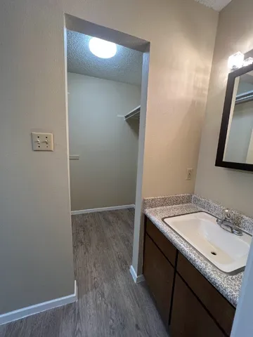 a bathroom with a sink a vanity and a mirror
