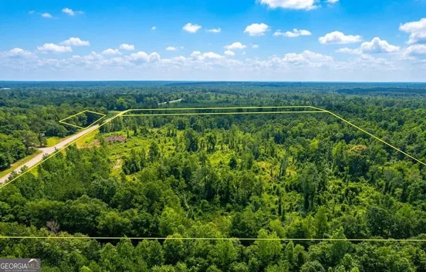 $119,900 | 0 Highway 10 East, Unit A, Pine Apple, AL 36768