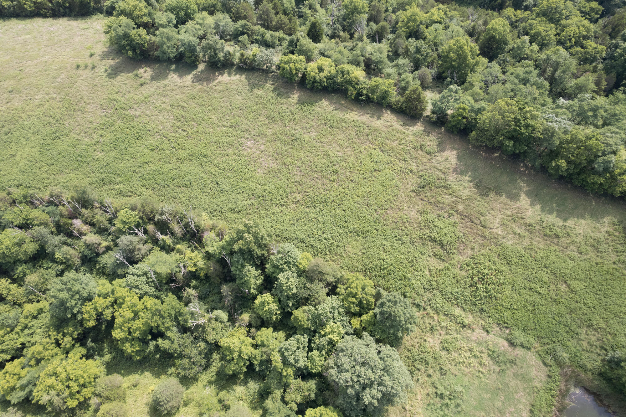 2605 Mason Cordova Road Corinth, KY 41010 - Photo 27 of 44 Gallery Image 27