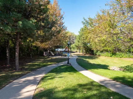 a view of a park with large trees