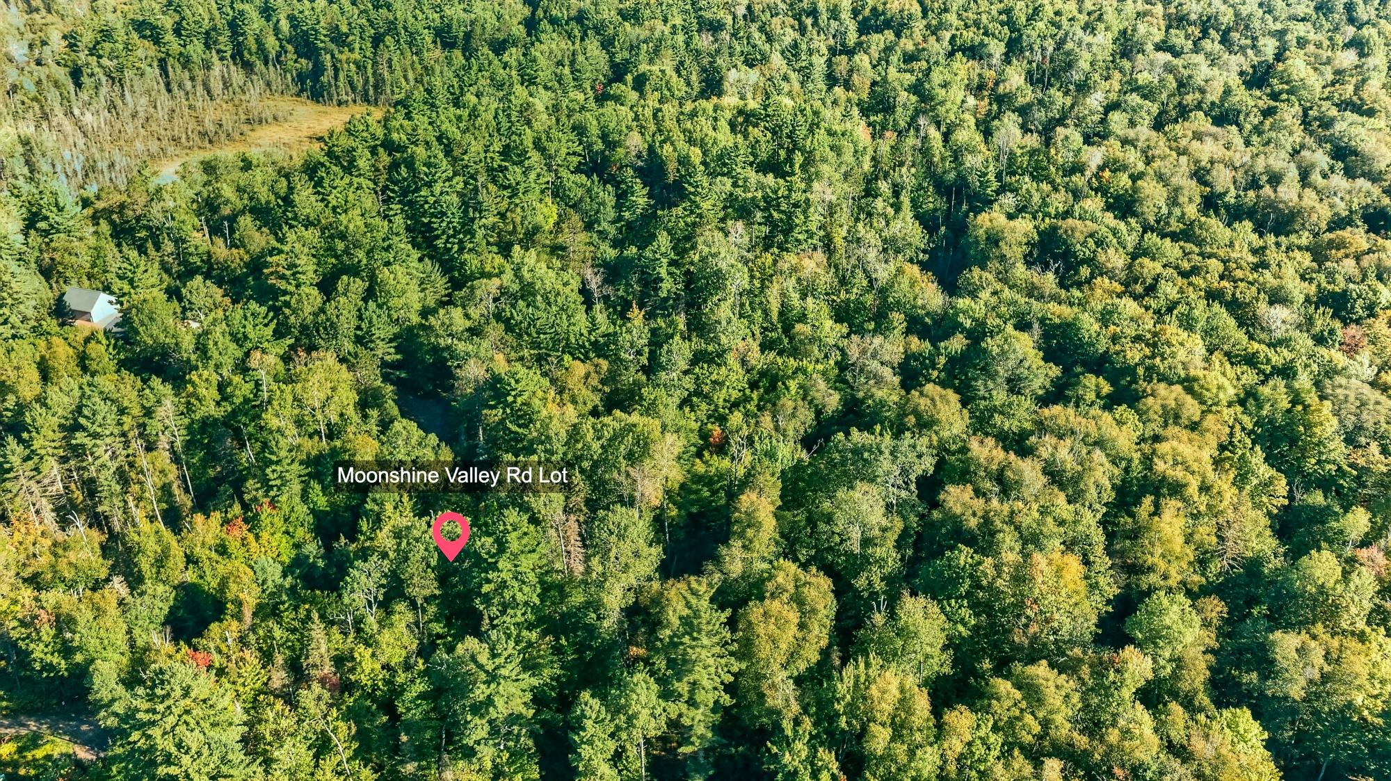 Lot On Moonshine Valley Road Presque Isle, WI 54557 - Photo 7 of 17 Gallery Image 7