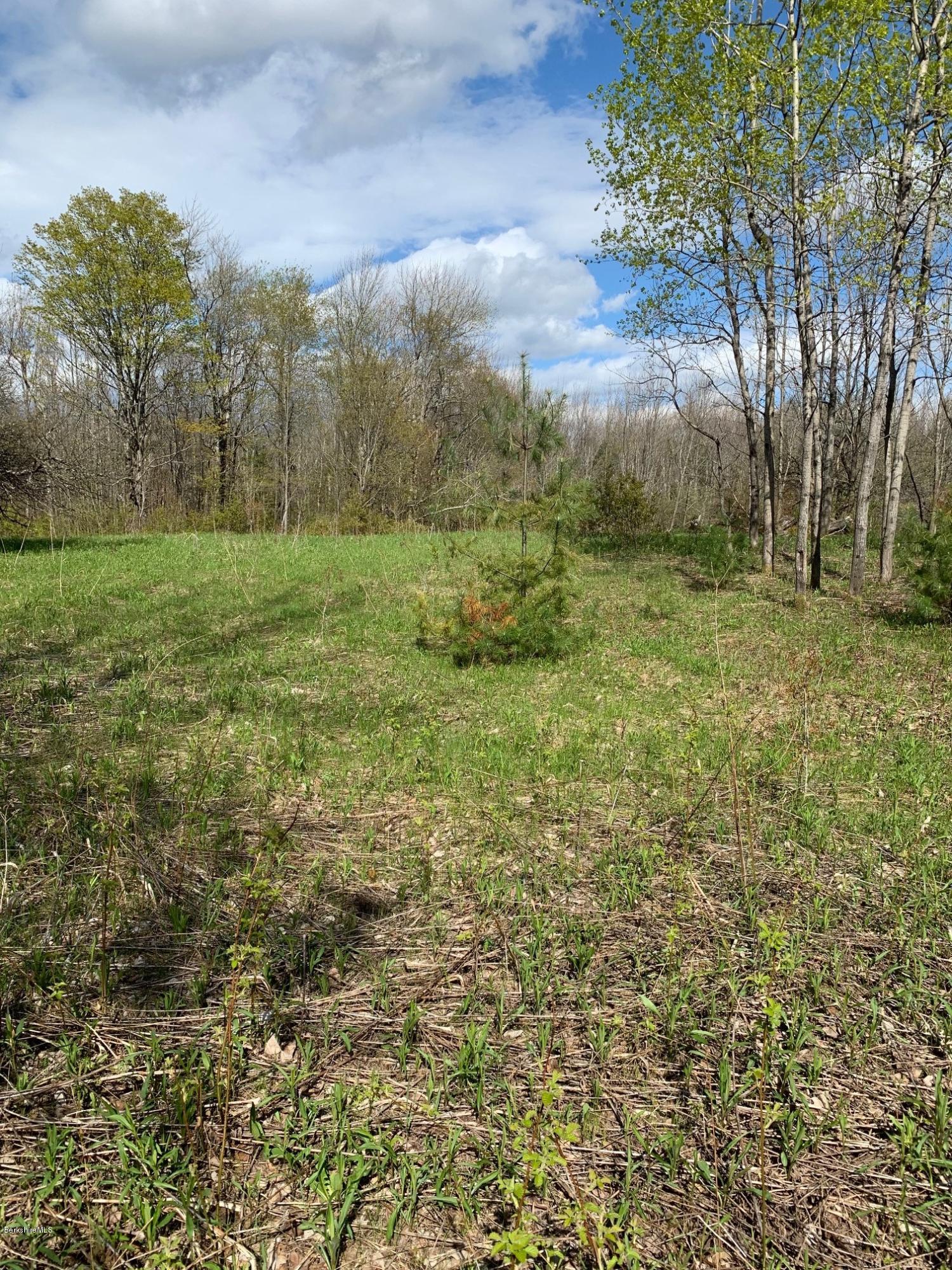 Stebbins Road Otis, MA 01253 - Photo 8 of 8 a view of outdoor space and yard