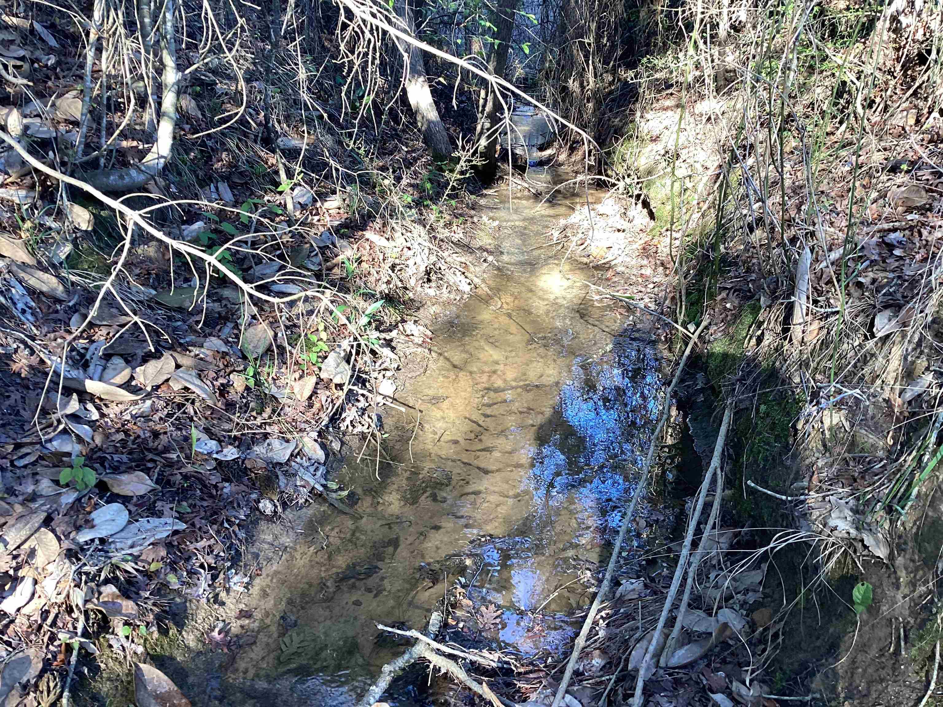 37841 Oakey Streak Road Red Level, AL 36474 - Photo 21 of 29 Gallery Image 21