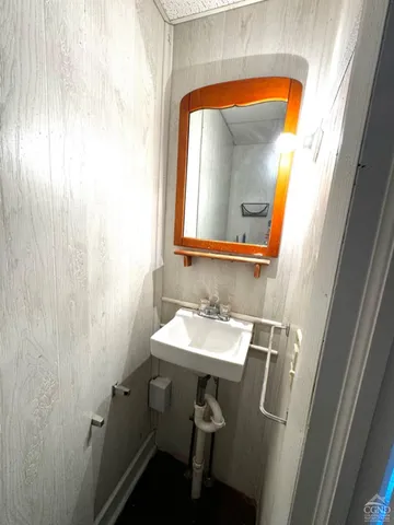 a bathroom with a sink and a mirror