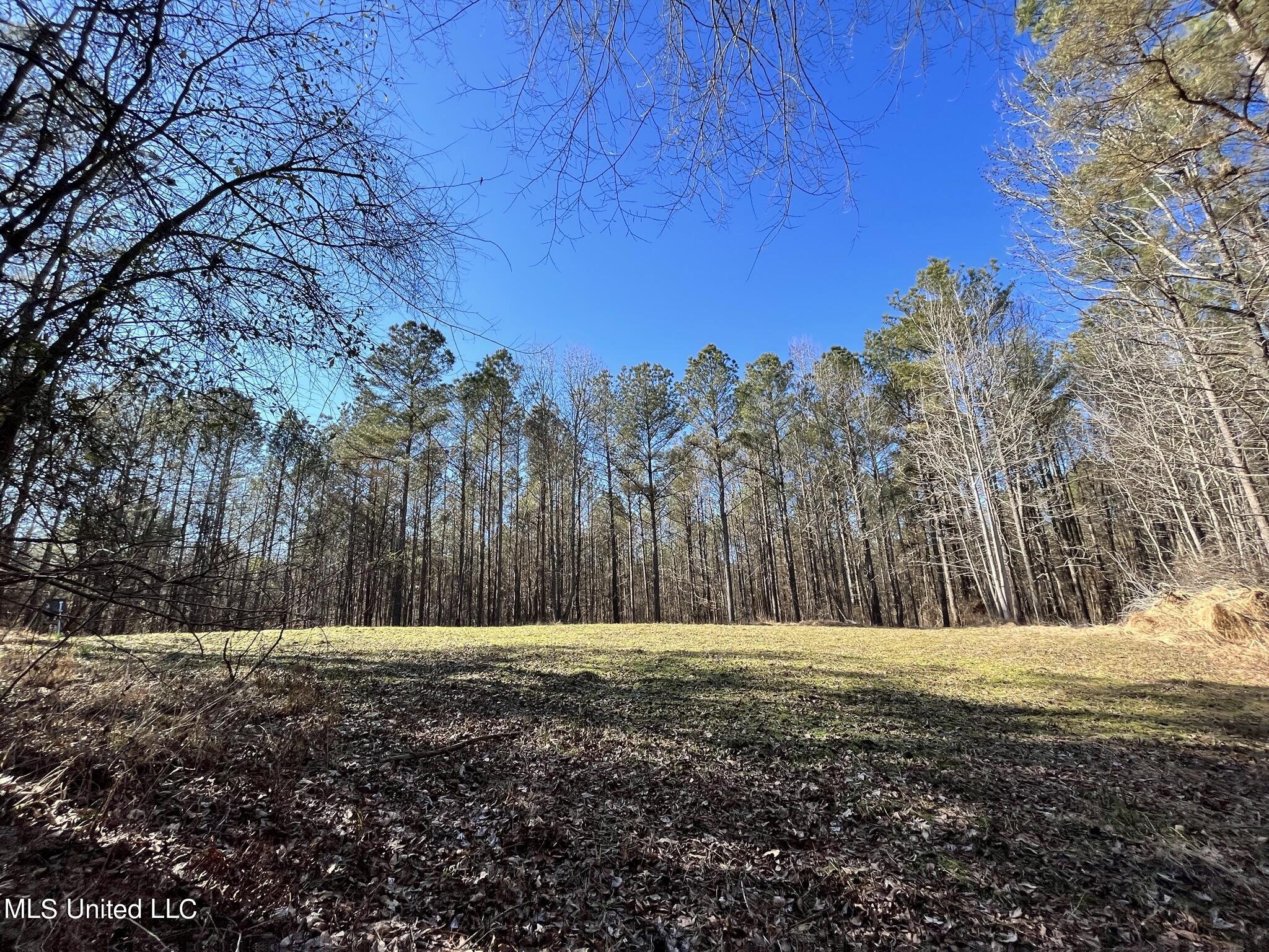 Smith Road Cascilla, MS 38920 - Photo 27 of 29 IMG_1029