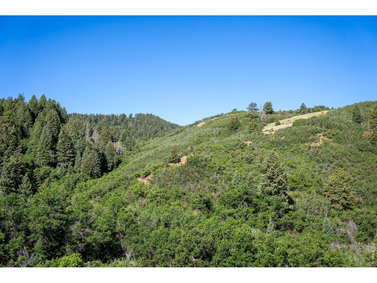 3255 North Rampart Range Road Littleton, CO 80125 - Photo 12 of 45