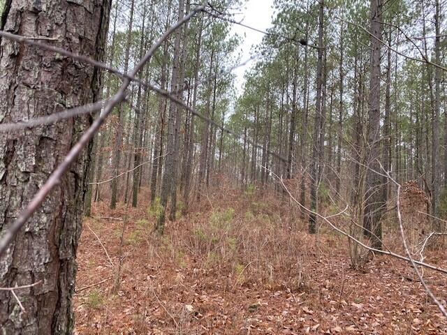 4 Fredonia Road, Unit 4 Dunlap, TN 37327 - Photo 3 of 8 4