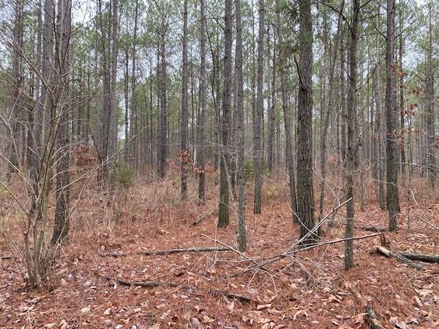 4 Fredonia Road, Unit 4 Dunlap, TN 37327 - Photo 4 of 8 5