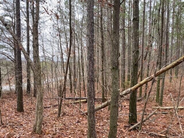 4 Fredonia Road, Unit 4 Dunlap, TN 37327 - Photo 6 of 8 7