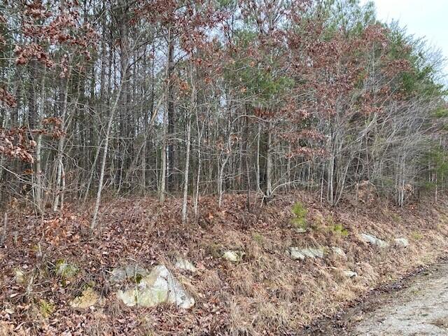 4 Fredonia Road, Unit 4 Dunlap, TN 37327 - Photo 7 of 8 9