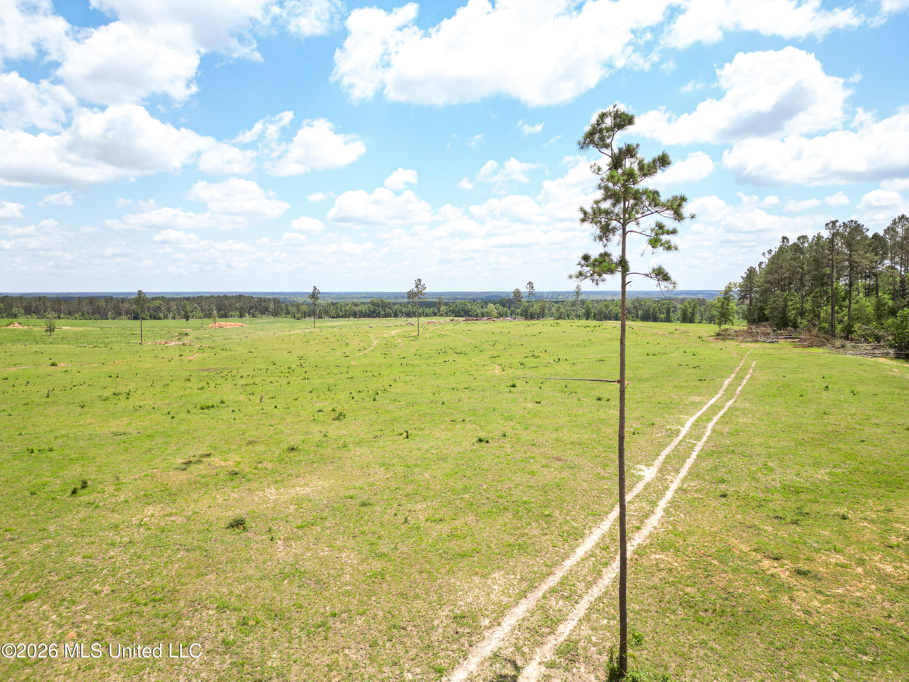 Southeast Gleenwood Road Southeast Ruth, MS 39662 - Photo 6 of 24 DJI_0548