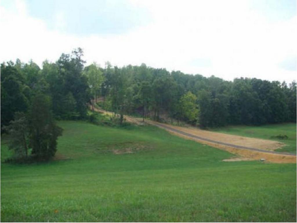 305 Mitchell Ridge Road Jonesborough, TN 37659 - Photo 1 of 6 Photo 1