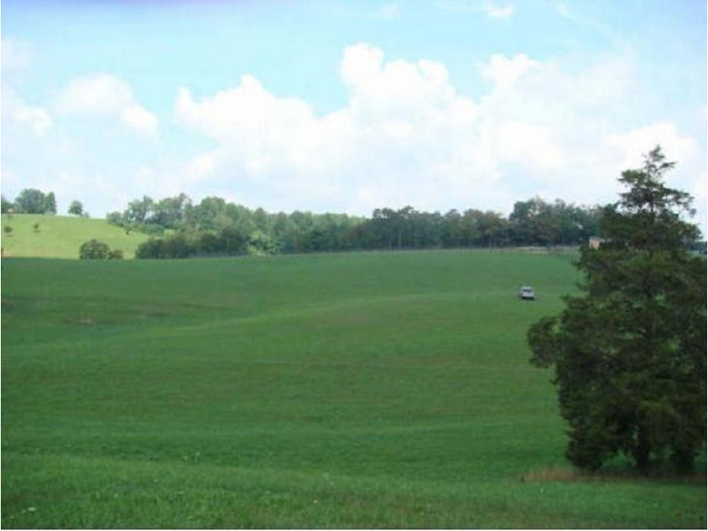 305 Mitchell Ridge Road Jonesborough, TN 37659 - Photo 3 of 6 Photo 4