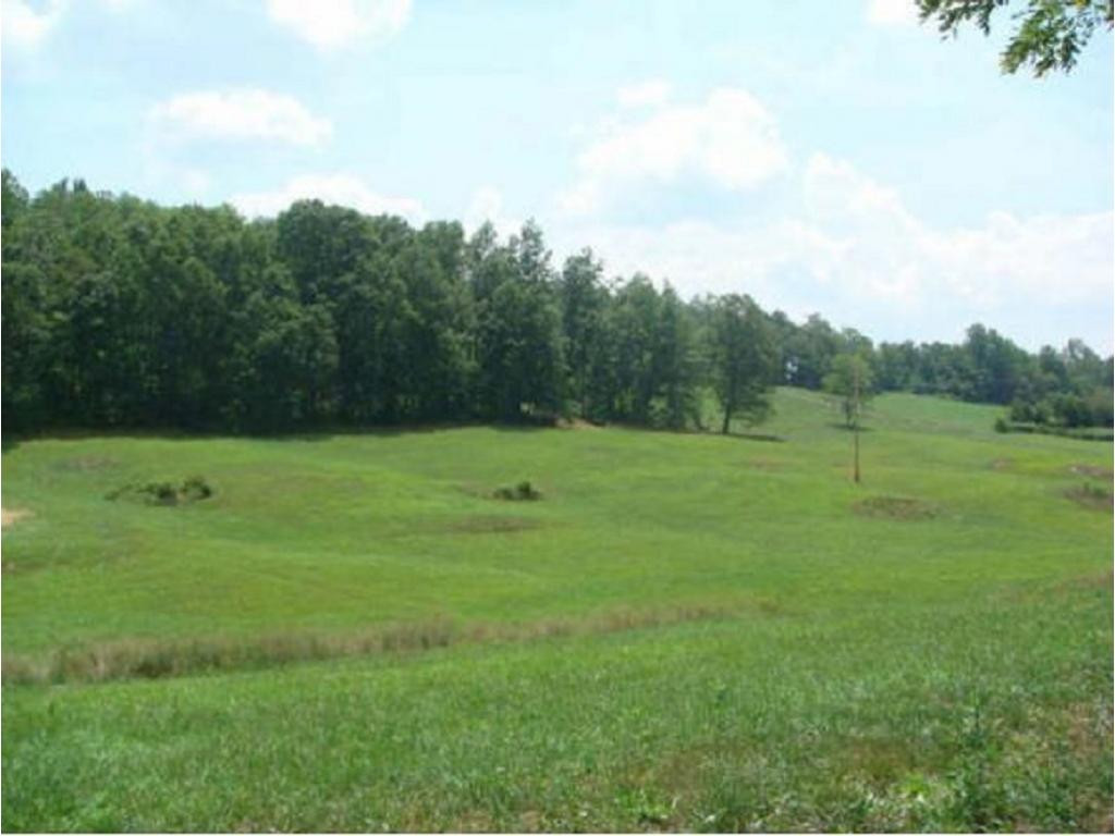 305 Mitchell Ridge Road Jonesborough, TN 37659 - Photo 5 of 6 Photo 6