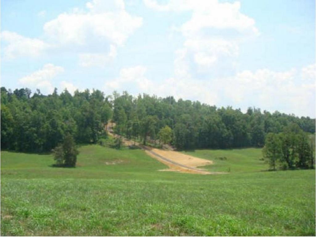 305 Mitchell Ridge Road Jonesborough, TN 37659 - Photo 6 of 6 Photo 7